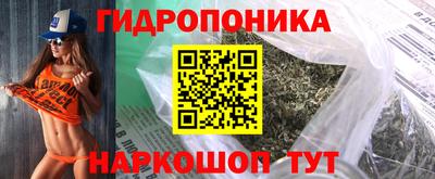 apvp Камышлов